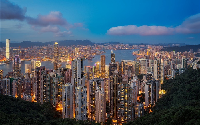 香港，夜晚，摩天大楼，灯光 壁纸 图片