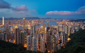 香港，夜晚，摩天大楼，灯光 高清壁纸