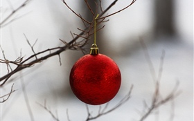 红色圣诞球，树枝 高清壁纸