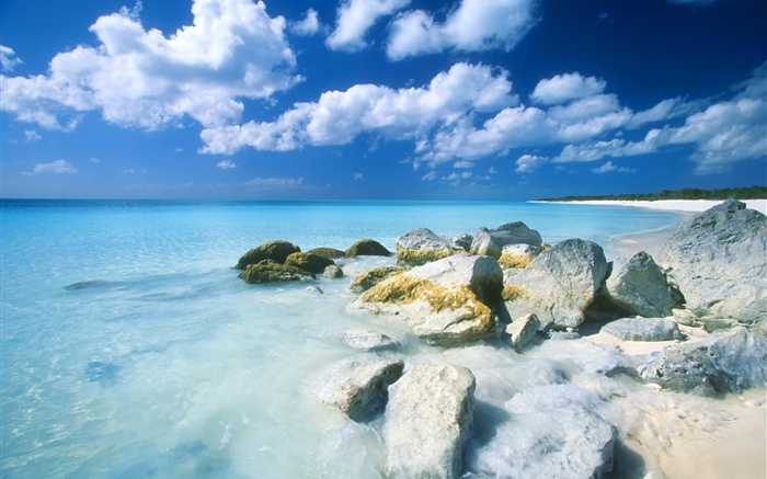 巴哈马群岛，海滩，大海，石头 壁纸 图片