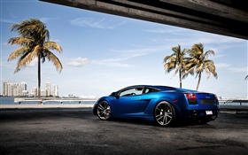 蓝色兰博基尼超级跑车，棕榈树 高清壁纸