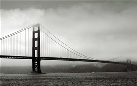 桥梁, 河, 黑白图片 高清壁纸