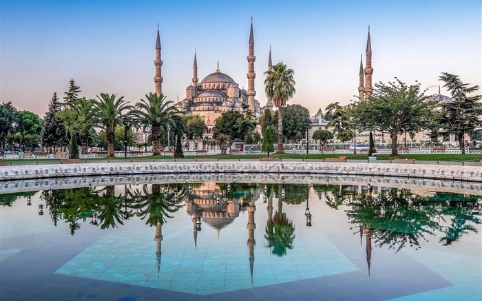 伊斯坦布尔，土耳其，清真寺，树木，水 壁纸 图片
