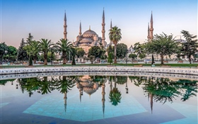 伊斯坦布尔，土耳其，清真寺，树木，水