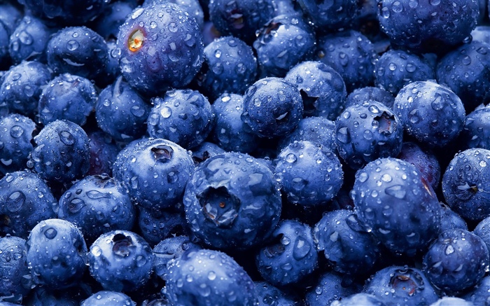 许多蓝莓, 水滴 壁纸 图片