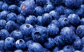 许多蓝莓, 水滴 高清壁纸