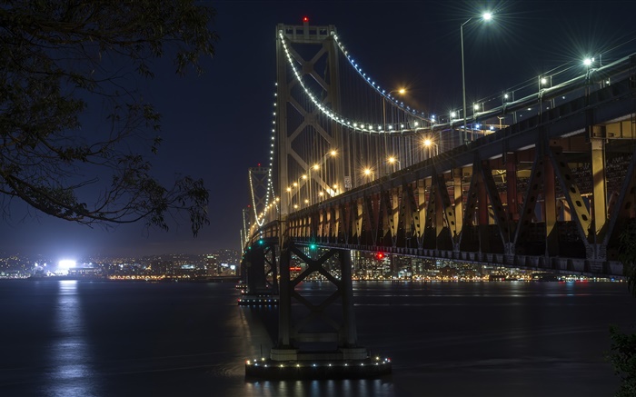 加利福尼亚，旧金山，桥梁，灯，河流，夜晚 壁纸 图片