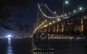 加利福尼亚，旧金山，桥梁，灯，河流，夜晚 高清壁纸