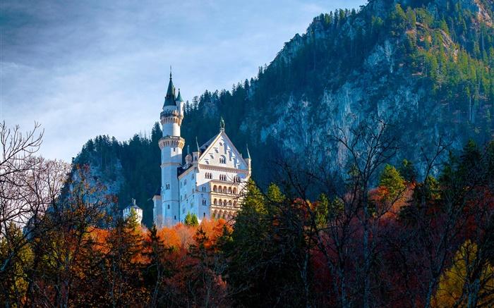 德国，巴伐利亚，纳斯万斯坦城堡，秋天 壁纸 图片
