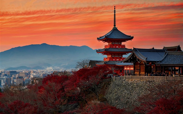 日本，京都，寺庙，秋天，黄昏 壁纸 图片