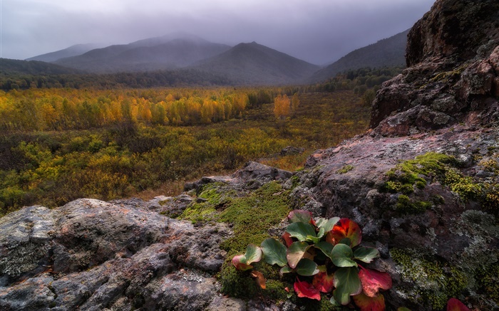 山，雾，石头，森林，秋天 壁纸 图片