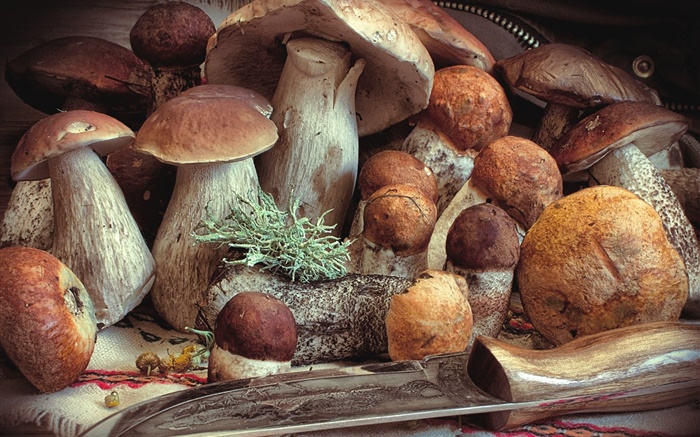 一些蘑菇，食物 壁纸 图片