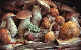 一些蘑菇，食物 高清壁纸