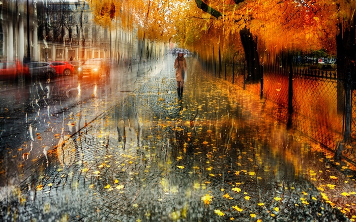 秋天，城市，雨，树，女孩，路，汽车 壁纸 图片