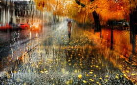 秋天，城市，雨，树，女孩，路，汽车 高清壁纸