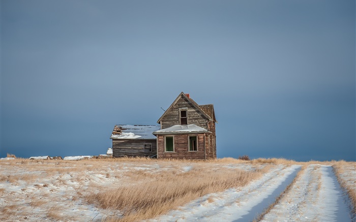 冬天，雪，田野，房子 壁纸 图片
